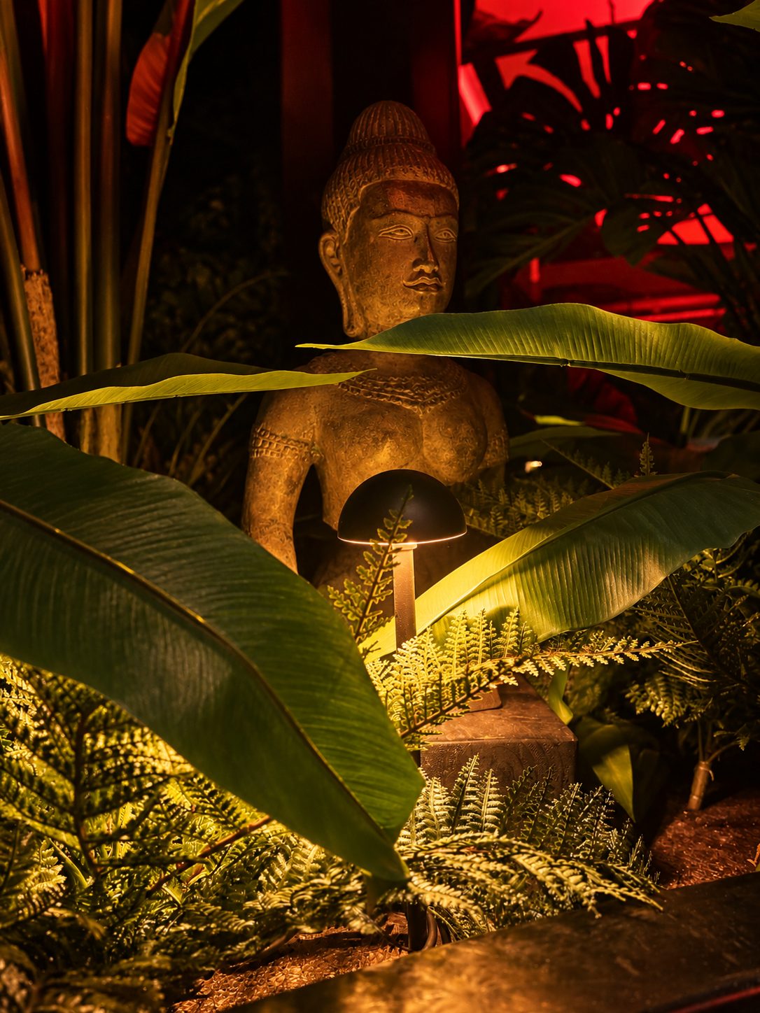 Zen Restaurant, Durham, after dark: warm light through planting and a sculpted stone head.